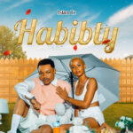 Music Audio : Aslam Tz – Habibty | Download Mp3