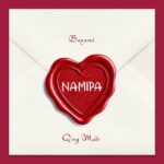 Music Audio : Bayanni Ft Qing Madi – Namipa | Download Mp3