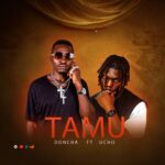 Music Audio : DONJA – TAMU | Download Mp3