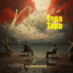 Music Audio : Lomodo – Nilitapatapa | Download Mp3