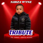 Music Audio : Narza Wyne – Tribute | Download Mp3