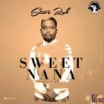 Music Audio : Steve Rnb – Sweet Nana | Download Mp3