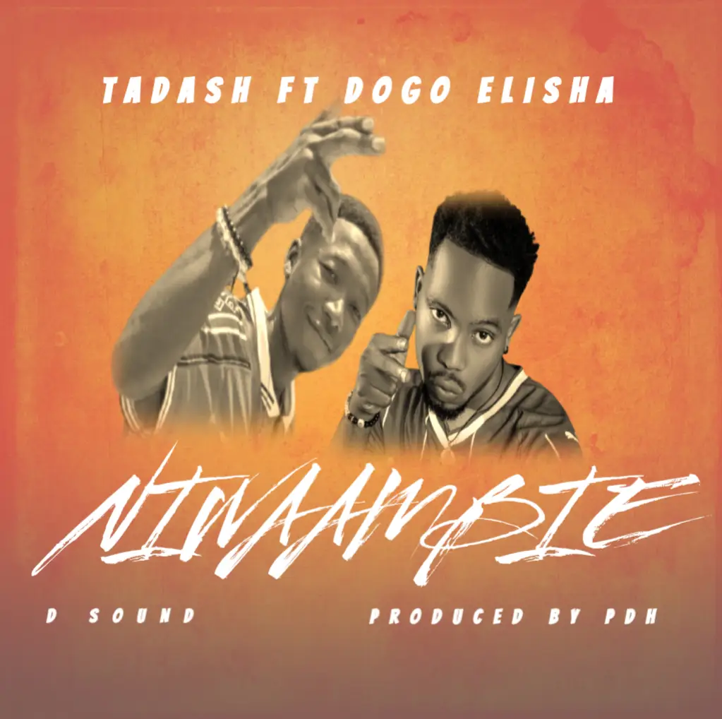 Music Audio : Tadash Ft Dogo Elisha – Niwaambie | Download Mp3