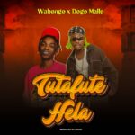 Music Audio : Wabongo Ft Dogo Mallo – Tutafute Hela | Download Mp3