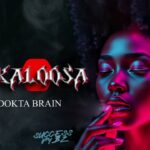 Music Audio : Dokta Brain – Akaloosa | Download Mp3