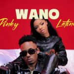 Music Audio : Latinum Ft Pinky – Wano | Download Mp3