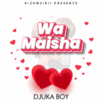 Music Audio : Djuka Boy – Wa Maisha | Download Mp3