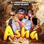 Music Audio : Dj Kidogodogo Ft Dogo Sajent – Asha | Download Mp3