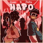 Music Audio : G Nako Ft Zuchu – Hapo | Download Mp3
