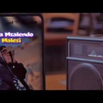Music Audio : Nala Mzalendo ft Lizytone – Malezi | Download Mp3