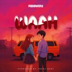 Music Audio : Password – Wawa | Download Mp3
