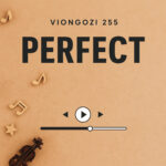 Music Audio : Viongozi 255 – Perfect | Download Mp3