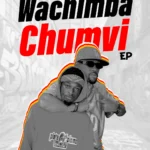 Music Audio : NIKKI MBISHI & MIRACLE NOMA – TOKA MAGHETTONI (WACHIMBA CHUMVI) | Download Mp3