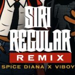 Music Audio : Viboyo Oweyo Ft Spice Diana – Siri Regular | Download Mp3