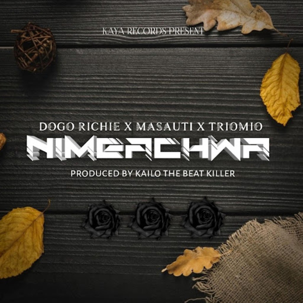 Music Audio : Dogo Richie Ft Masauti & Trio Mio – Nimeachwa | Download Mp3