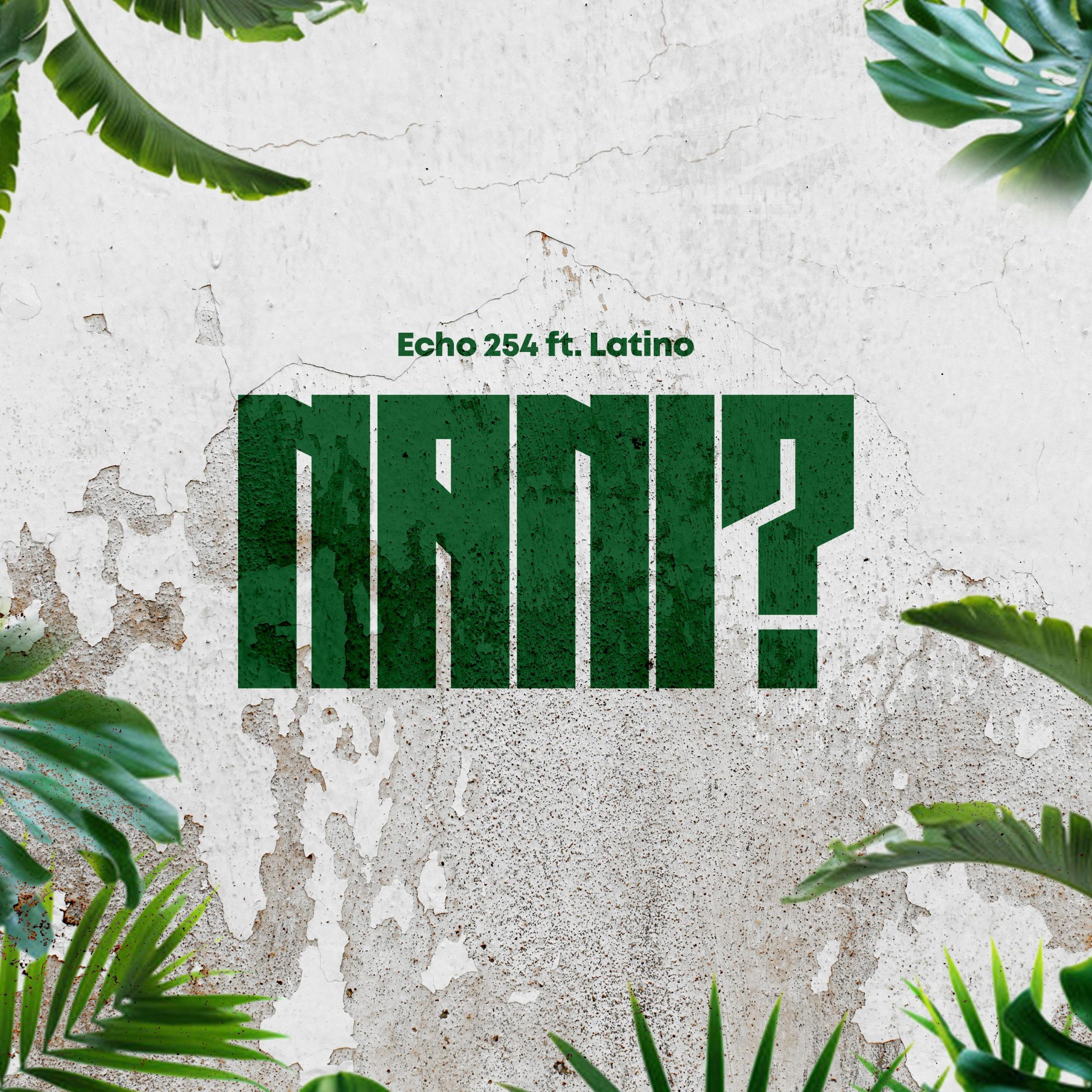 Music Audio : Echo 254 ft Latinoh – Nani | Download Mp3