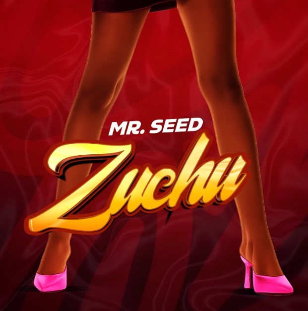 Music Audio : Mr Seed – Zuchu | Download Mp3