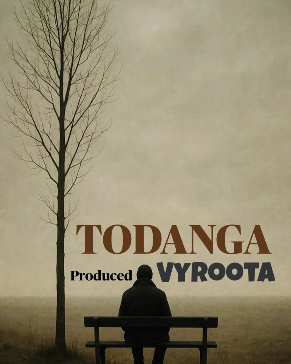 Music Audio : VYROOTA – TODANGA | Download Mp3