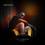 Music Audio : Selemanyo – LA | Download Mp3