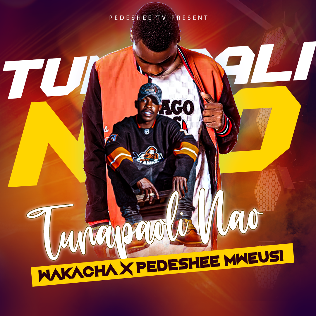 Music Audio : Wakacha Ft Pedeshee mweusi – Tunapali Nao | Download Mp3
