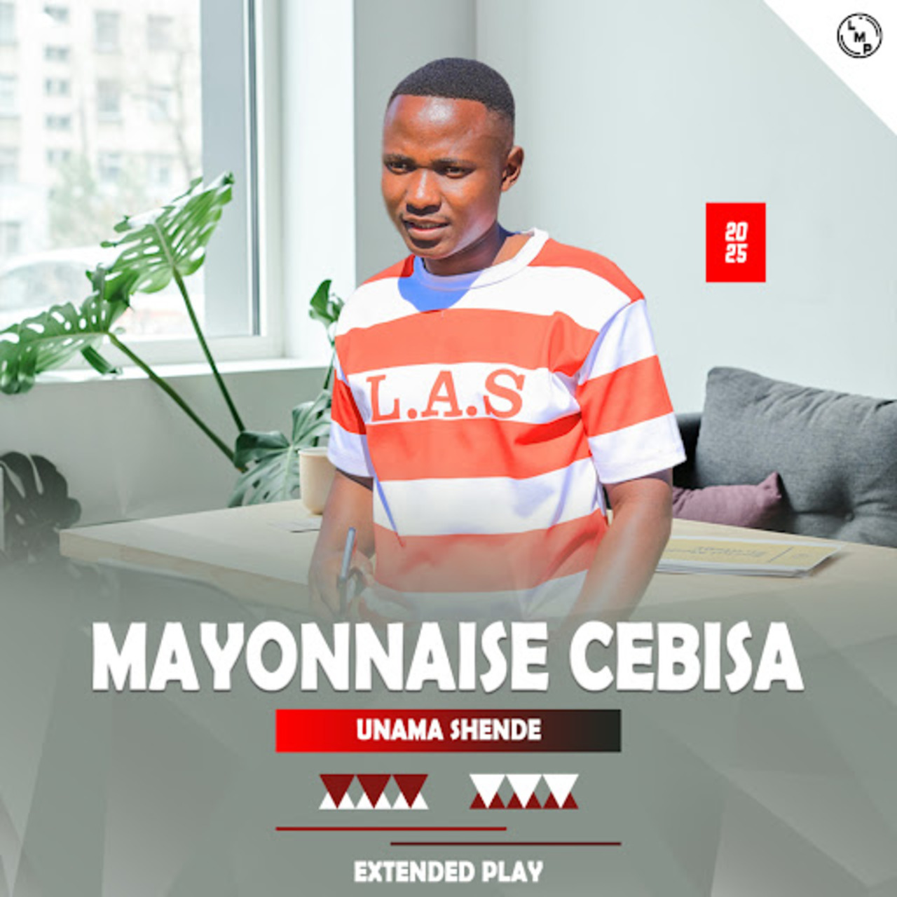 Music Audio : Mayonnaise Cebisa – Unama Shende | Download Mp3