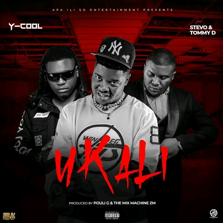 Music Audio : Y-Cool Ft Stevo & Tommy D – Ukali | Download Mp3