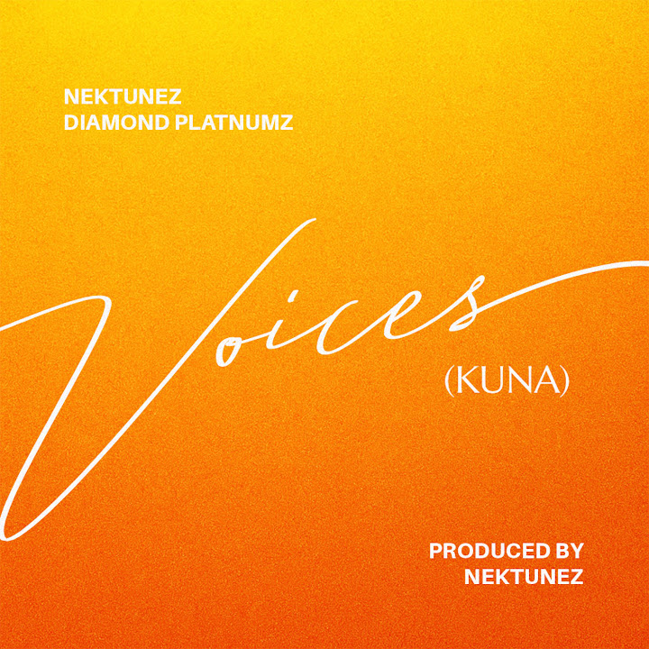 Music Audio : Nektunez Ft Diamond Platnumz Voices (Kuna) | Download Mp3