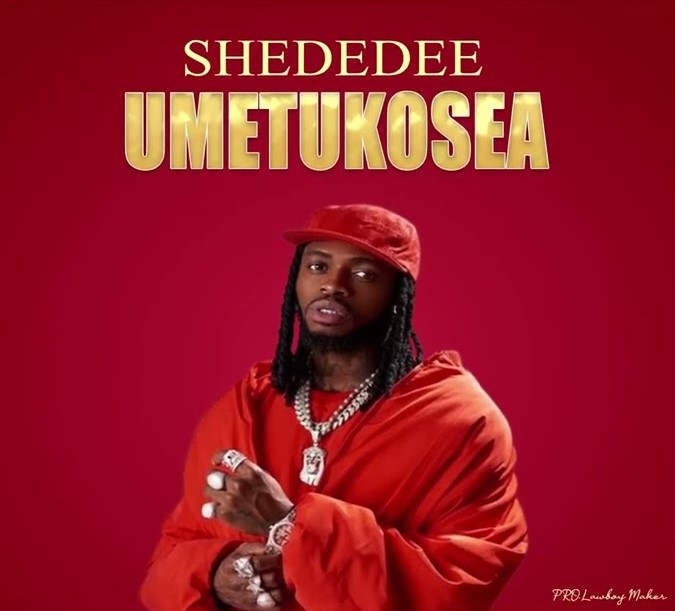 Music Audio : Shededee – Umetukosea Diamond | Download Mp3