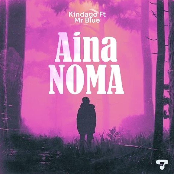 Music Audio : Kindago Ft Mr Blue – Aina Noma | Download Mp3