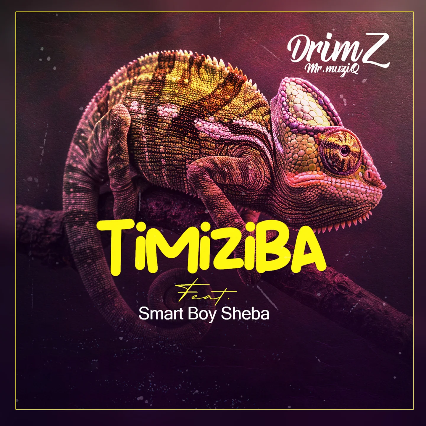 Music Audio : Drimz Ft Smart Boy Sheba – Timiziba | Download