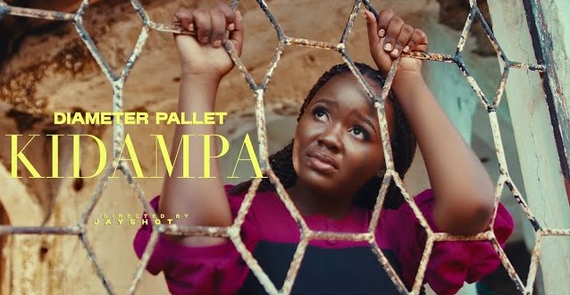 VIDEO : Diameter Pallet – Kidampa