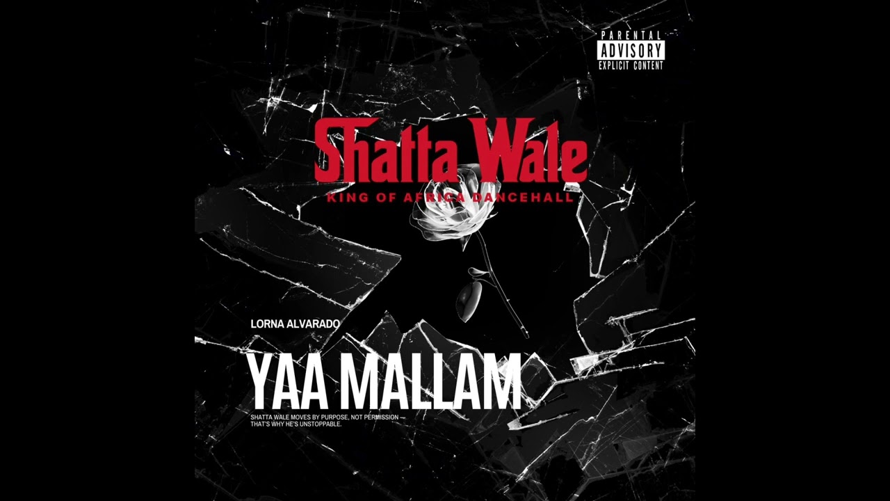 Music Audio : Shatta Wale – Yaa Mallam | Download Mp3
