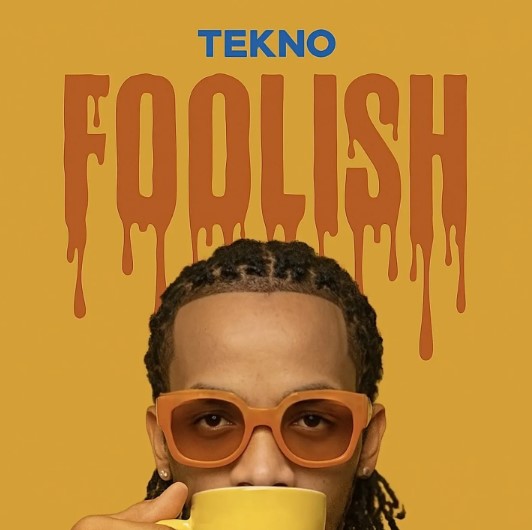 Music Audio : Tekno – Foolish | Download Mp3