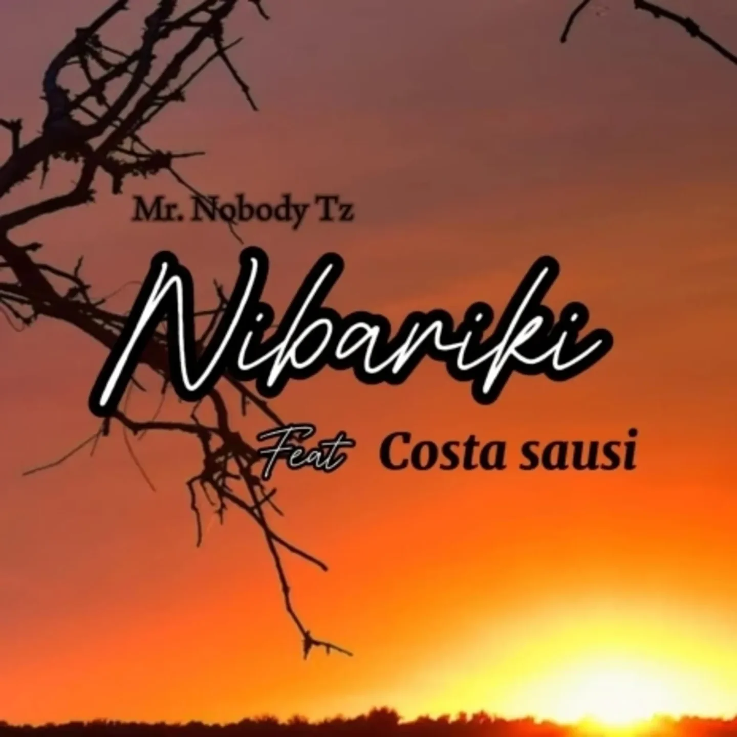 Music Audio : Mr. Nobody Tz ft Costa Sausi – Nibariki | Download Mp3