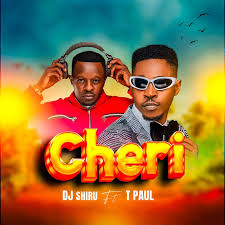 Music Audio : T Paul Ft DJ Shiru – Cheri | Download Mp3