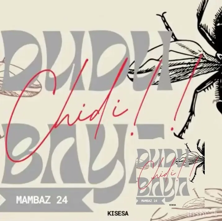 Music Audio : Dudu Baya – Chidi (Diss Track) | Download Mp3