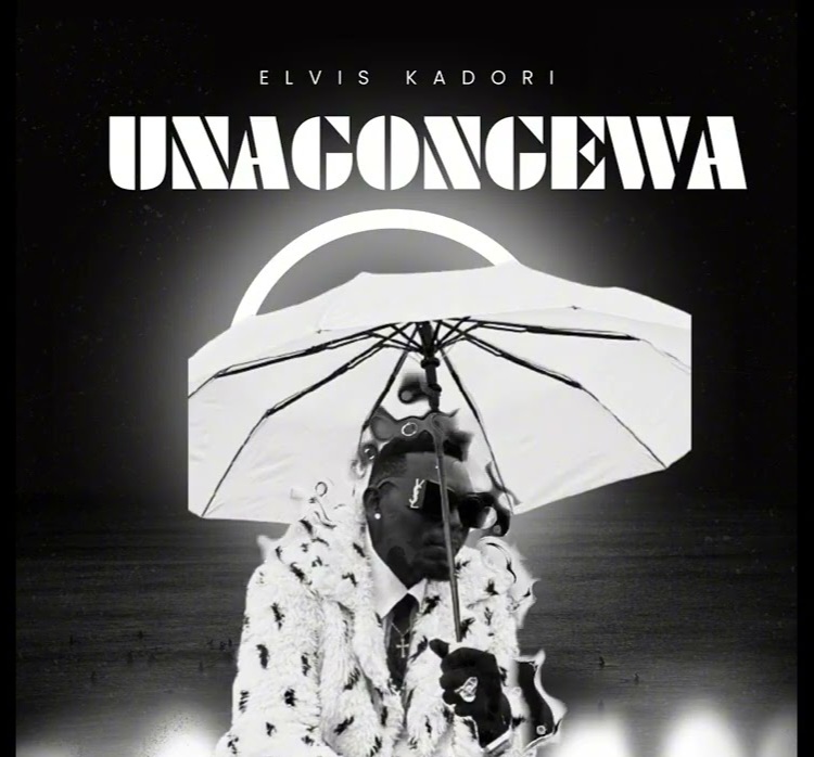 Music Audio : Elvis Kadori – Unagongewa | Download Mp3