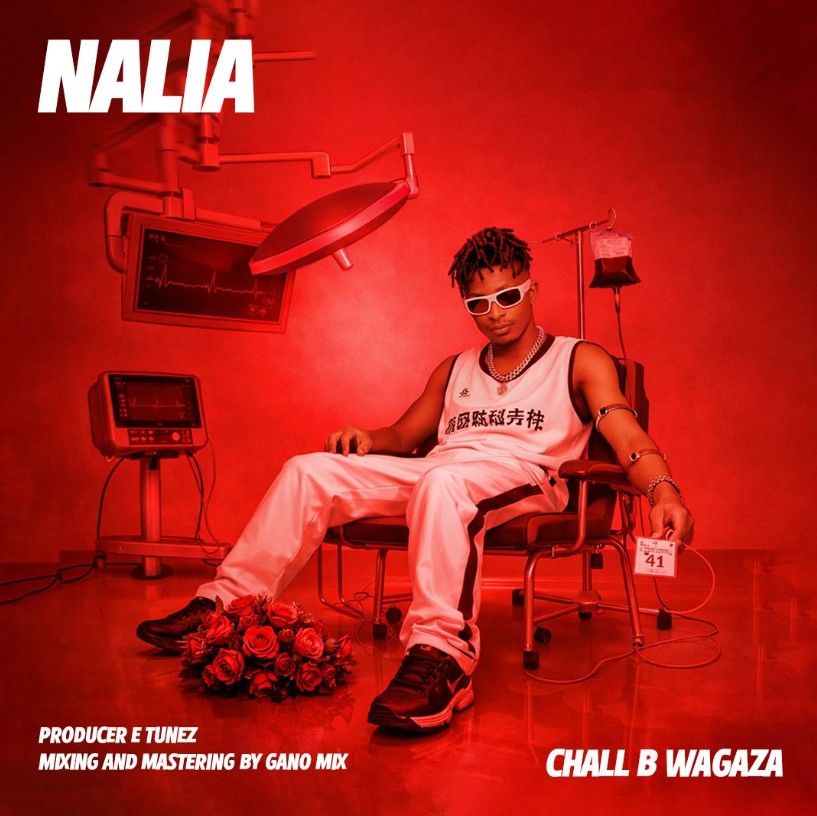 Music Audio : Chall B Wagaza – Nalia | Download Mp3