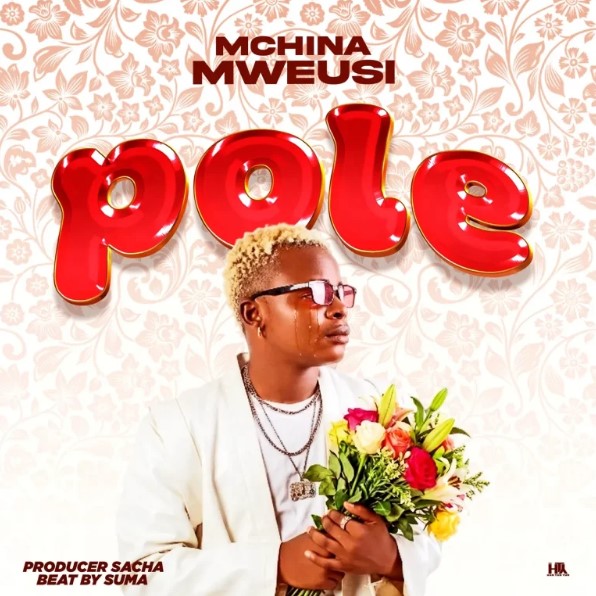 Music Audio : Mchina Mweusi – Pole | Download Mp3