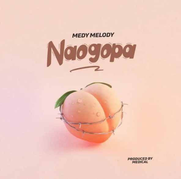 Music Audio : Medy Melody – Naogopa | Download Mp3