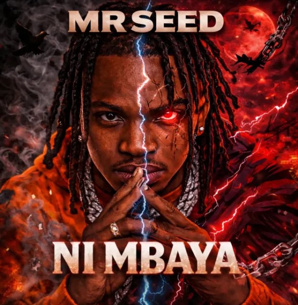 Music Audio : Mr Seed – Ni Mbaya | Download Mp3