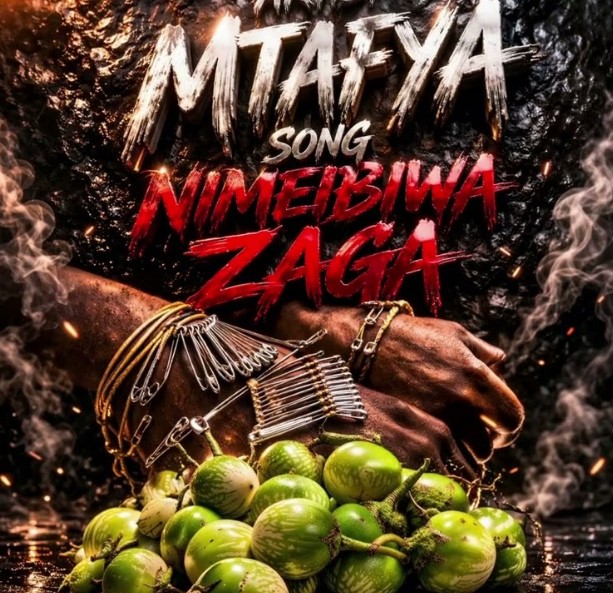 Music Audio : Mtafya – Nimeibiwa Zaga | Download Mp3