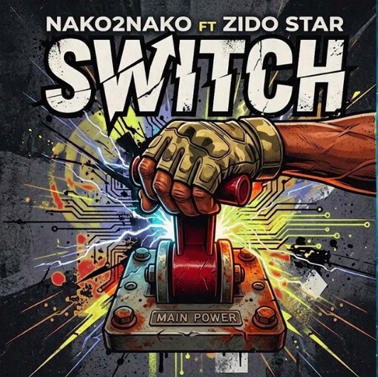 Music Audio : Nako 2 Nako Ft Zido Star – Switch | Download Mp3