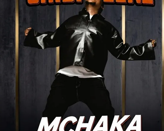 Music Audio : Chidi Beenz – MCHAKA MCHAKA | Download Mp3