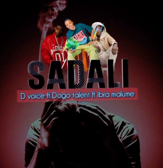 Music Audio : D Voice Ft Malume & Dogo Talent – Sadali | Download Mp3