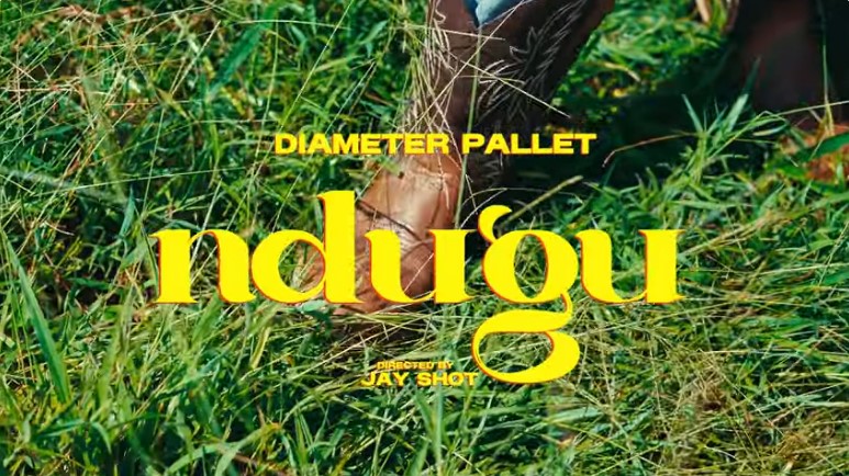 Music Audio : Diameter Pallet – Ndugu | Download Mp3