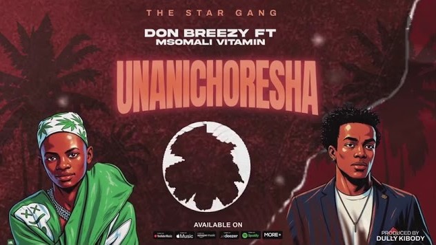 Music Audio : Don Breezy Ft Msomali Vitamin – Unanichoresha | Download Mp3