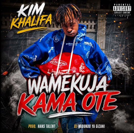 Music Audio : Kim Khalifa – Wamekuja Kama Ote | Download Mp3
