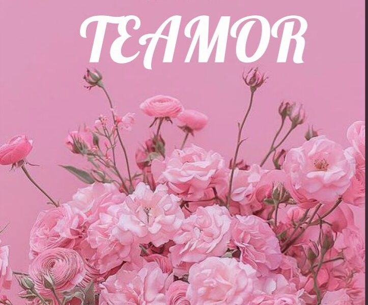 Music Audio : Sonic Tz – Teamor | Download Mp3