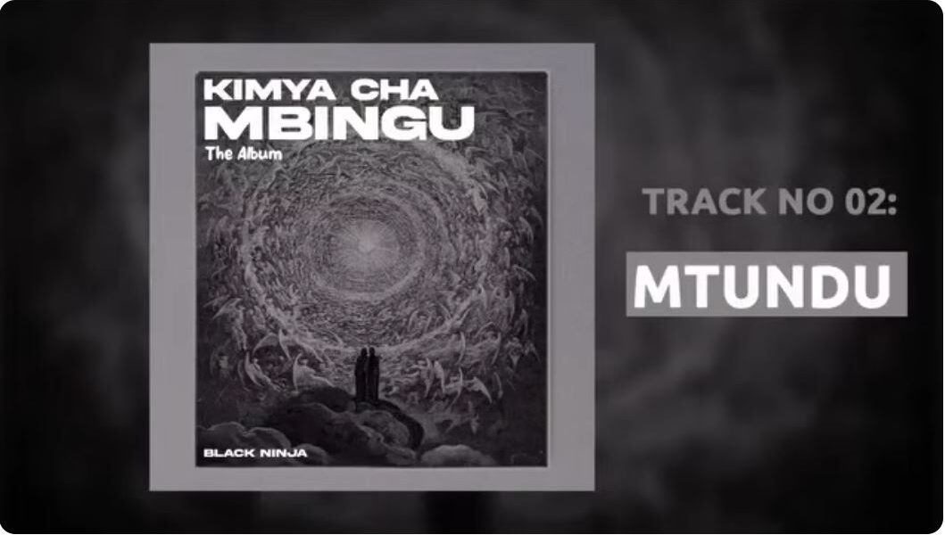 Music Audio : Black Ninjah – Mtundu (Punguani) | Download Mp3